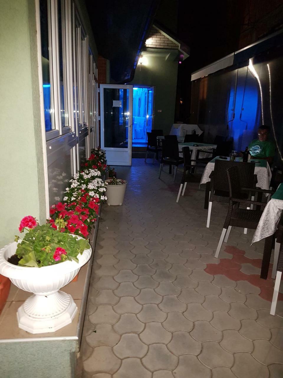 Bed and Breakfast Golden Danube Велико-Градиште Экстерьер фото