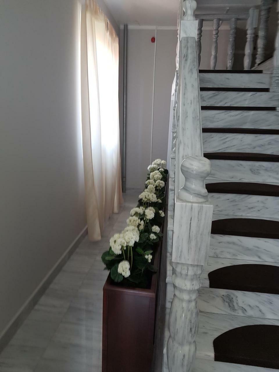 Bed and Breakfast Golden Danube Велико-Градиште Экстерьер фото